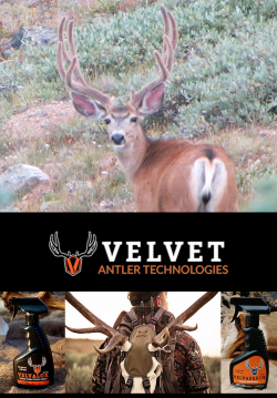 Velvet Antler Technology